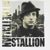 Stallion 