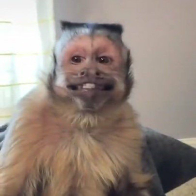 guilherme antonio dias carvalho