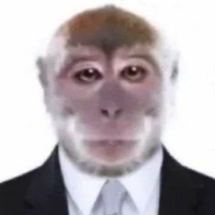 Dr.Diplomata
