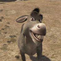Concurseiro Burro