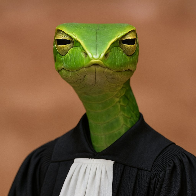 Cobra julgadora concurseira