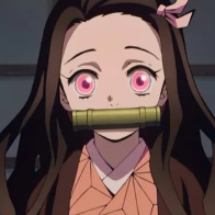 Nezuko Kamado Concurseira