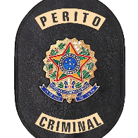 Perito federal