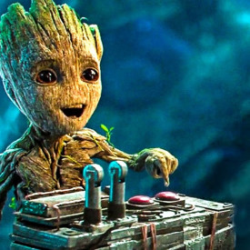 Groot concurseiro