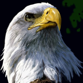 Diego