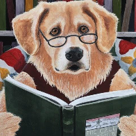 Doguinho Concurseiro