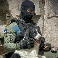 Ninja