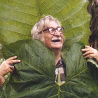 Burle Marx