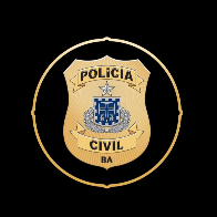 Investigadora P