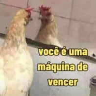 A diferença do cachorro para o concurseiro é que do primeiro o povo tem dó.