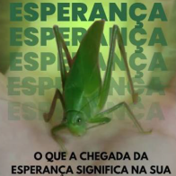 Rauã Souza Carmo