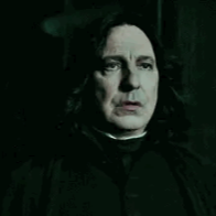 Snape no Parquet